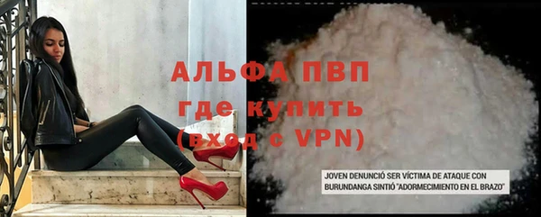 амф Касимов