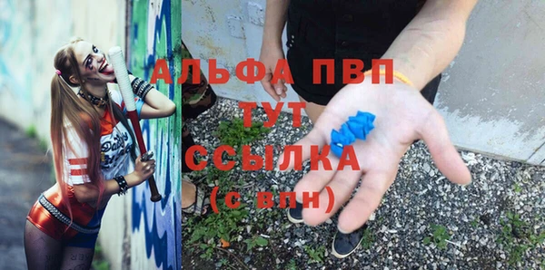 амф Касимов