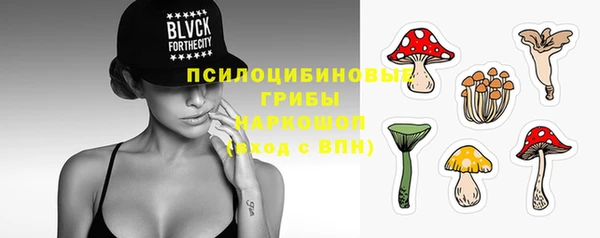 МДПВ Карпинск