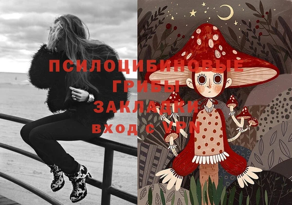 амф Касимов