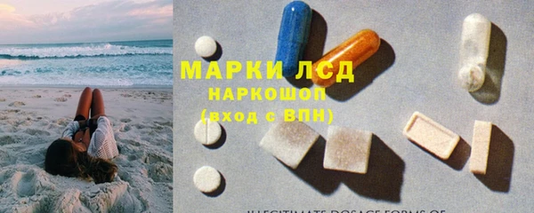 амф Касимов