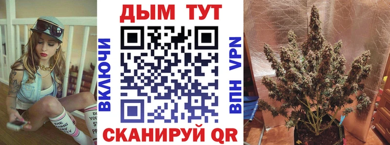 Купить  Вуктыл  Конопля планчик 